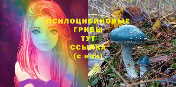 кокс Алексин