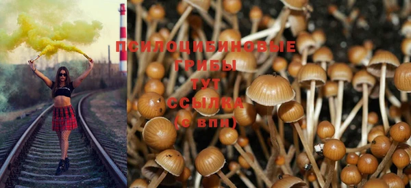 амф Алзамай