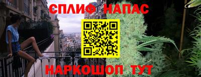 прущие грибы Малоярославец
