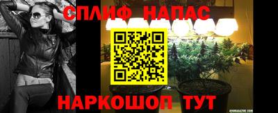 прущие грибы Малоярославец