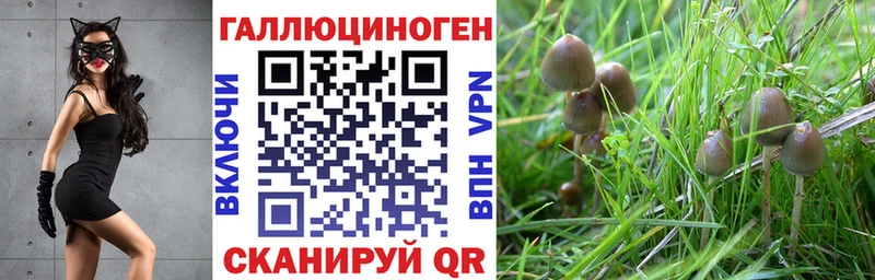 кракен как зайти Вологда Псилоцибиновые грибы мухоморы