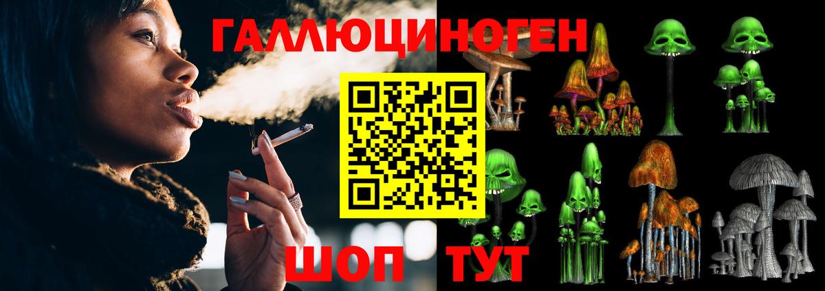 Вологда  Галлюциногенные грибы Cubensis  Вход с VPN 